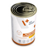 VetExpert Veterinary Diet Intestinal Elimination Low Fat 400g Mokra Karma Weterynaryjna Dla Psów z Zaburzeniami Trawiennymi