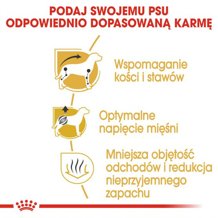 ROYAL CANIN Breed Health Nutrition DACHSHUND 2x7.5kg sucha karma dla psów rasy jamnik