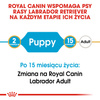 Royal Canin BHN Labrador Retriever Puppy 3kg Karma Sucha Dla Szczeniąt Do 15 Miesiąca Rasy Labrador Retriever
