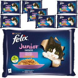 Felix Fantastic Junior Karma Dla Kociąt Wybór Smaków W Galaretce 8x340g (32x85g) Kurczak I Łosoś