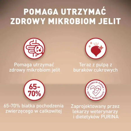 Purina ONE Mini Sensitive z Łososiem i Ryżem 4x800g Sucha Karma Dla Psów Małych Ras