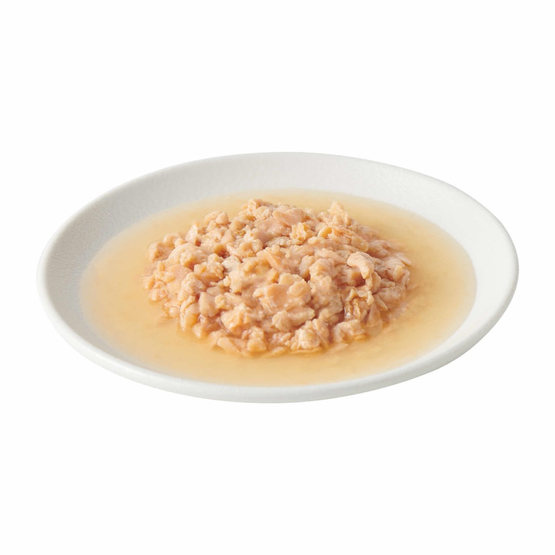 John Dog Tasty Broth