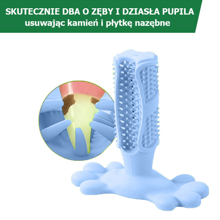 Gryzak, zabawka dentystyczna dla psa, rozmiar M, kolor Niebieski, szczoteczka do zębów