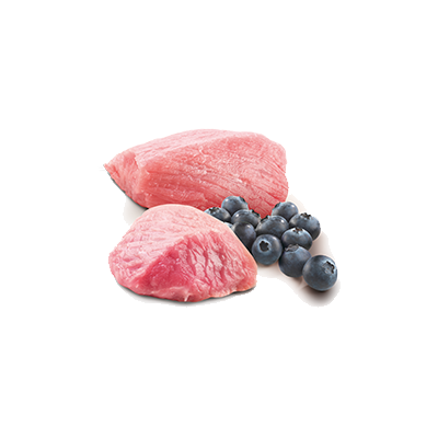 Farmina N&D Cat Prime Lamb & Blueberry 70g Mokra Karma Dla Kota Jagnięcina I Borówka