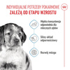 Royal Canin Medium Puppy 140g Karma Mokra W Sosie Dla Szczeniąt Ras Średnich Do 12 Miesiąca Życia 