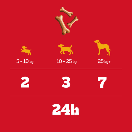 Pedigree Biscrok Gravy Bones 3x400g Przysmak Dla Psa