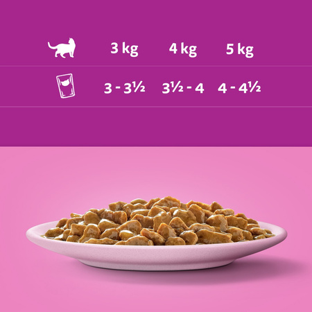 WHISKAS Junior Saszetka 85g Mokra Karma Dla Kociąt Kawałki z Kurczakiem w Galaretce