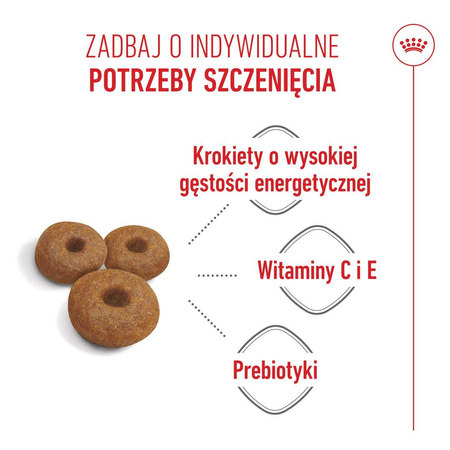 Royal Canin Maxi Starter Mother & Babydog 4kg Karma Sucha Dla Suk W Ciąży I Okresie Laktacji Oraz Szczeniąt Ras Dużych
