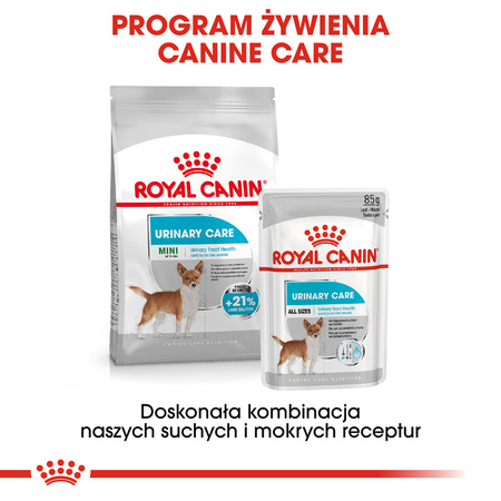 Royal Canin CCN Mini Urinary Care 3kg Karma Sucha Dla Psów Dorosłych Ras Małych Ochrona Dolnych Dróg Moczowych
