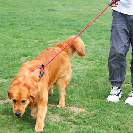 Smycz Zaciskowa Linowa Treningowa Behawioralna dla Psa Niebieska Odblaskowa 1.4m
