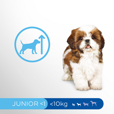 Perfect Fit (junior) 5x825g - Sucha Karma Dla Psa Małej Rasy Bogata W Kurczaka