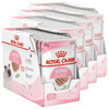 Royal Canin Kitten 48x85g Pełnoporcjowa Mokra Karma Dla Kociąt Do 12 Miesiąca Życia Pasztet