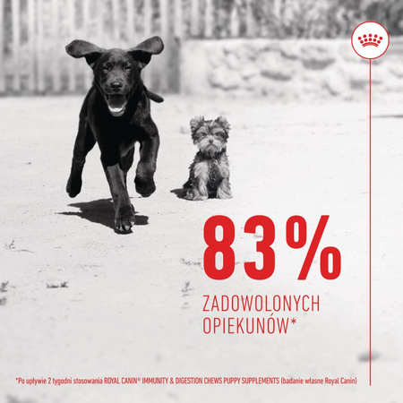 Royal Canin Supplements Dog Immunity & Digest Puppy 100g Suplementy W Postaci Przysmaków Wspierające Prawidłowe Trawienie I Odporność Szczeniąt