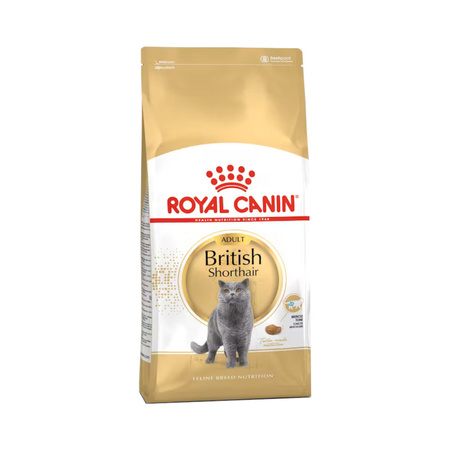Royal Canin British Shorthair 10kg+12x85g Karma Dla Dorosłego Kota
