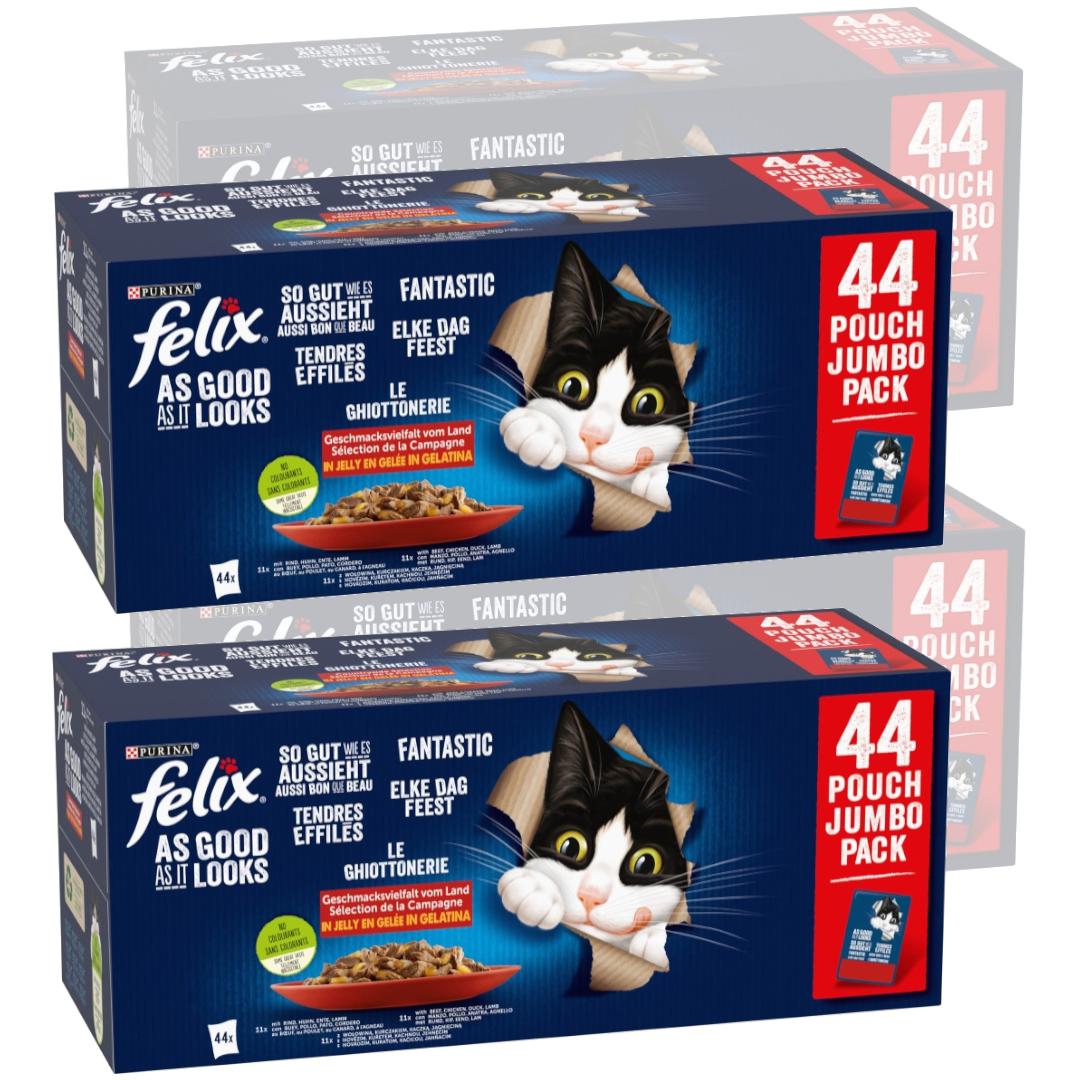 Felix Fantastic Mokra Karma Dla Kota Wiejskie Smaki W Galaretce