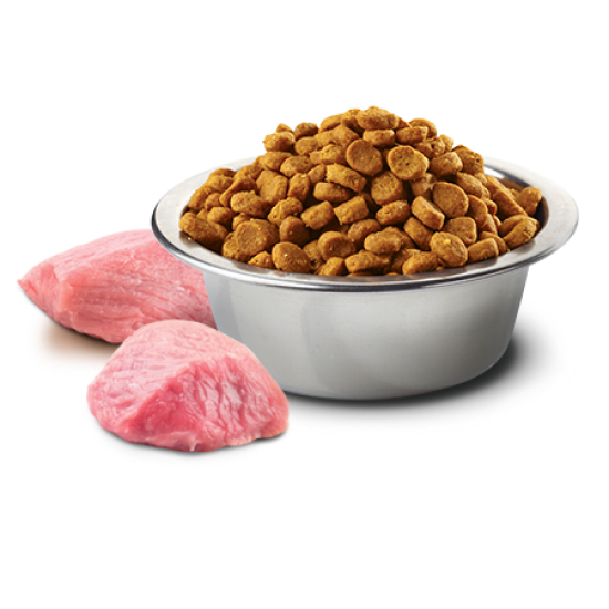 Farmina N&D Dog Prime Lamb Blueberry Adult Mini Sucha Karma Dla Psów Małych Ras Z Jagnięciną I Borówką