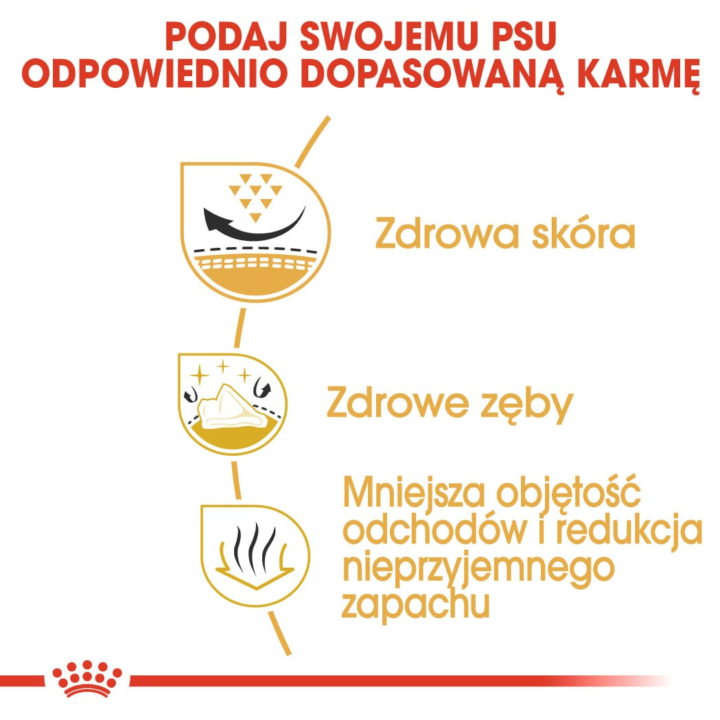 Karma Sucha Dla Psów Dorosłych Rasy Shih Tzu