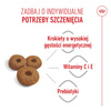 Royal Canin Maxi Starter Mother & Babydog 15kg Karma Sucha Dla Suk W Ciąży I Okresie Laktacji Oraz Szczeniąt Ras Dużych 