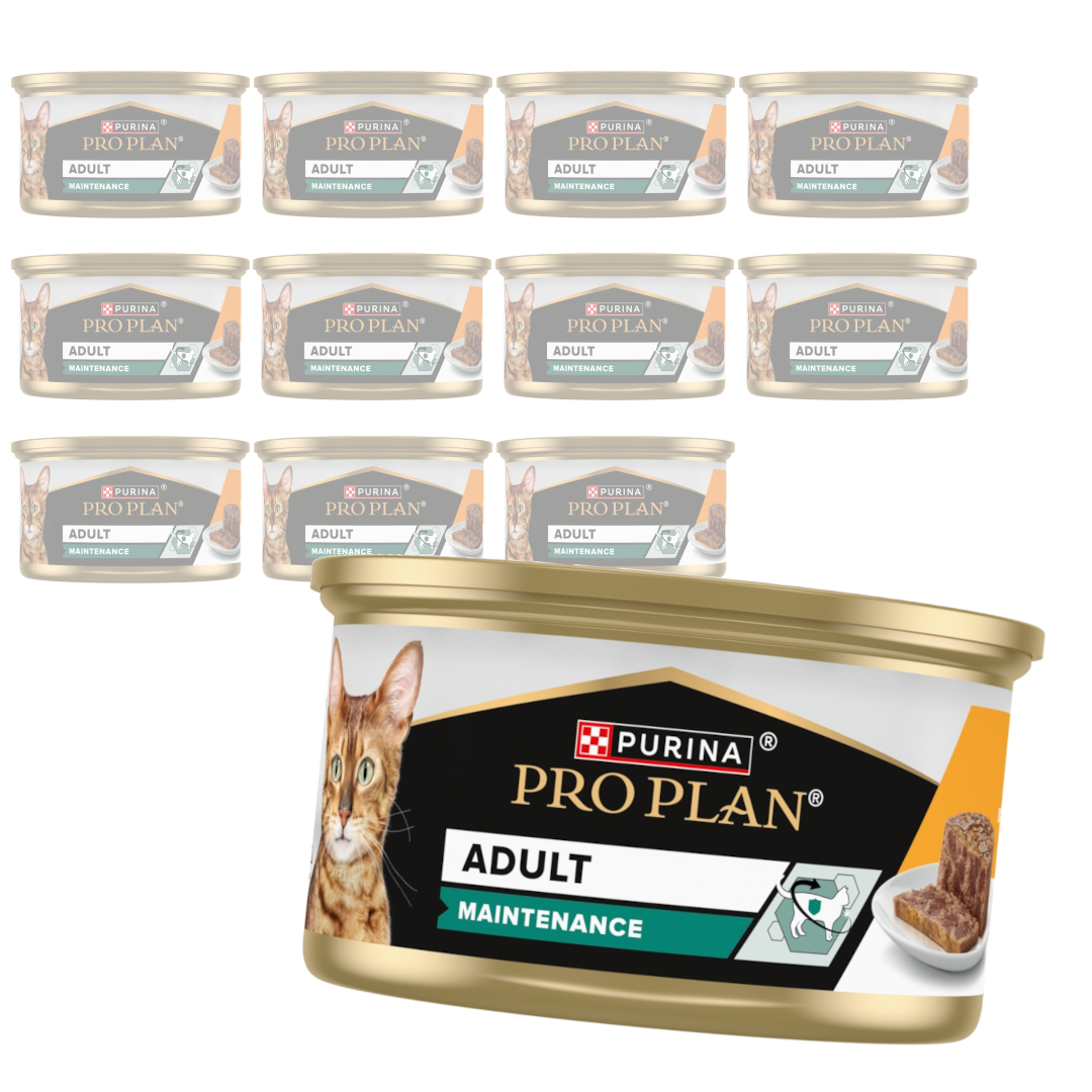 Pro Plan Adult Maintenance Karma mokra dla kotów dorosłych