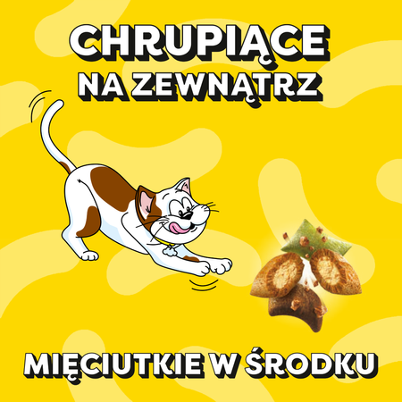 Dreamies Shake Ups Multivitamins 4x55g Przysmak Dla Kota Mix Smaków Kurczak Owoce Morza