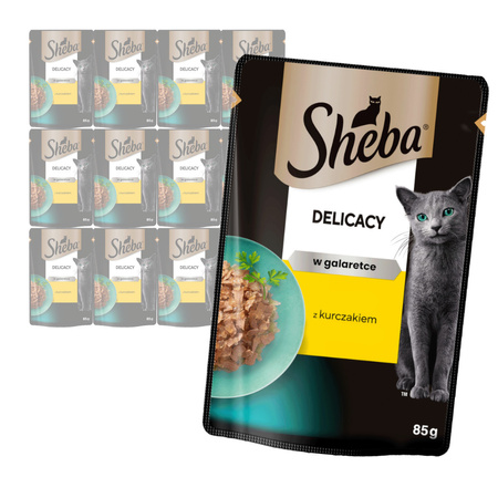 Sheba Delicacy Saszetka 12x85g Mokra Karma Pełnoporcjowa Dla Kota Kawałki z Kurczakiem w Galaretce