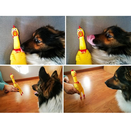 Kurczak gumowy dla psa - Piszcząca zabawka dla psa