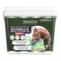 Holista Equine Boswellia Seratta Complex 1000g MSM Kolagen Wit C Stawy Regeneracja Konie Sportowe