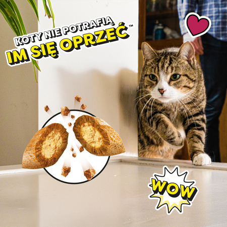 Dreamies z Wyśmienitą Wołowiną 60g Przysmaki dla kota