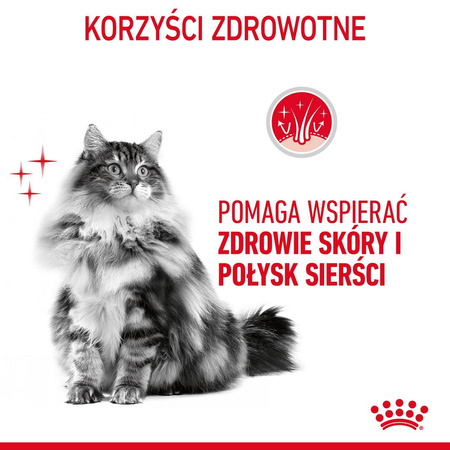 Royal Canin Hair & Skin w Sosie i Galaretce 24x85g Mokra Karma Dla Kotów Dorosłych Zdrowa Skóra Piękna Sierść
