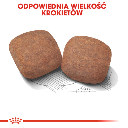Royal Canin Giant Adult Karma Sucha Dla Psów Dorosłych Ras Olbrzymich 2x15kg