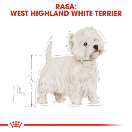 ROYAL CANIN Breed Health Nutrition ADULT WEST TERRIER 3x3kg sucha karma dla psów rasy west terrier