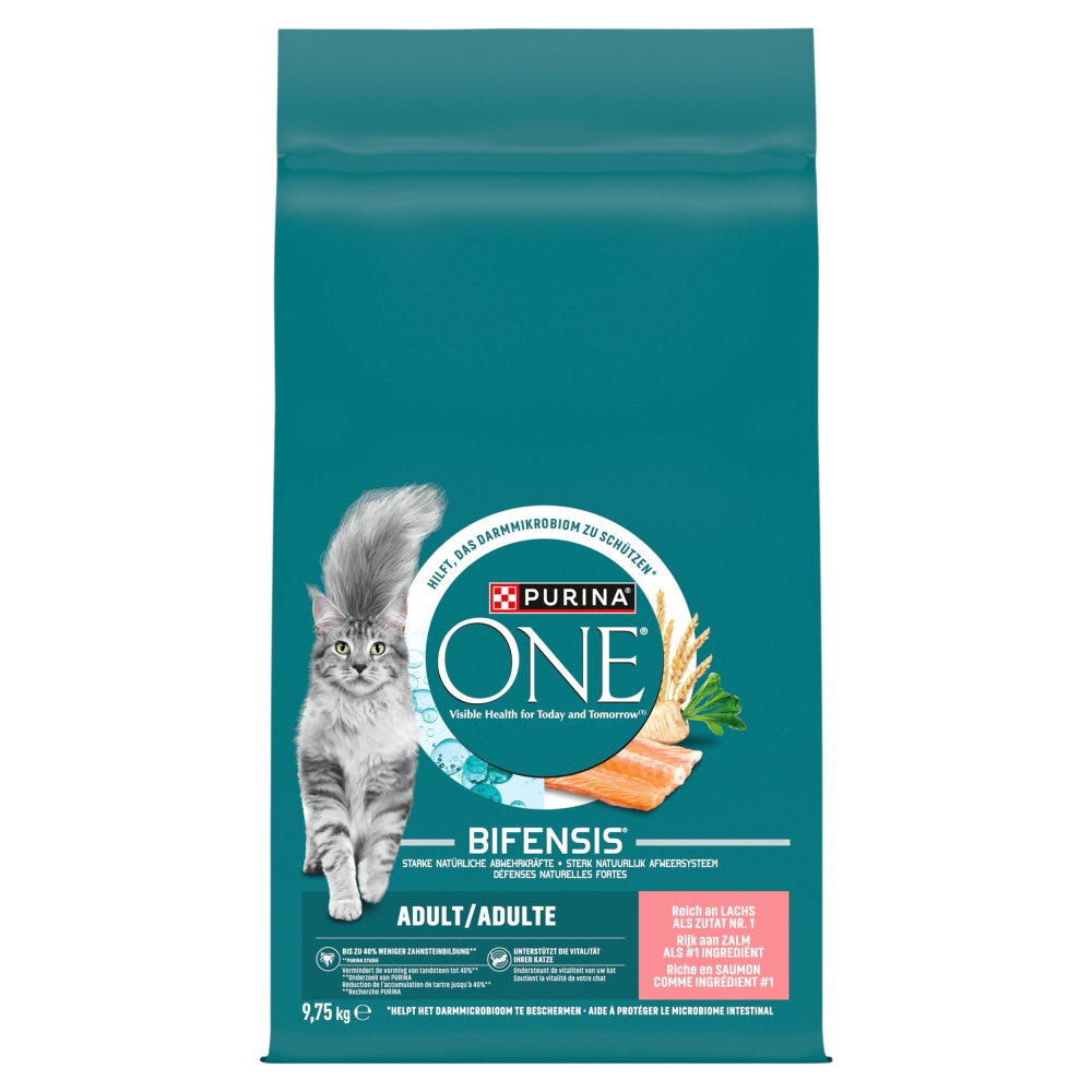 Purina One Bifensis Adult Sucha Karma Dla Kota Z Łososiem