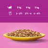 Whiskas Adult Drobiowa Uczta Saszetki 48x85g Mokra Karma Dla Dorosłych Kotów w Sosie