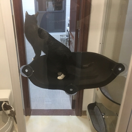 Legowisko dla kota na okno na przyssawkach hamak kolor ZIELONY