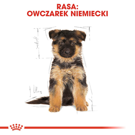 Royal Canin BHN German Shepherd Puppy 12kg Karma Sucha Dla Szczeniąt Do 15 Miesiąca Rasy Owczarek Niemiecki
