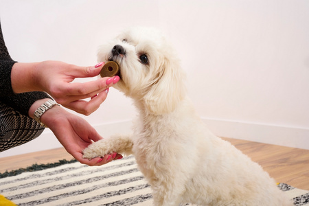 Pedigree Multivitamins Trawienie 180g Karma Uzupełniająca Dla Dorosłych Psów o Smaku Kurczaka