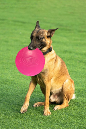 Frisbee Gumowa Zabawka Dla Psa Latający Dysk Kolor Różowy Średnica 18cm