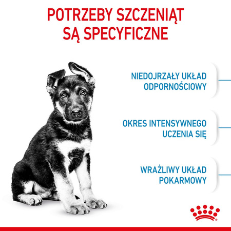 Royal Canin Maxi Puppy 15kg Karma Sucha Dla Szczeniąt Ras Dużych + Szampon VetExpert 250ml