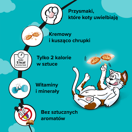 Dreamies z Wybornym Łososiem 60g Przysmaki dla kota