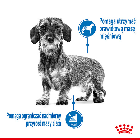 Royal Canin Mini Light Weight Care 1kg Karma Sucha Dla Psów Małych Ras Z Tendencją Do Nadwagi