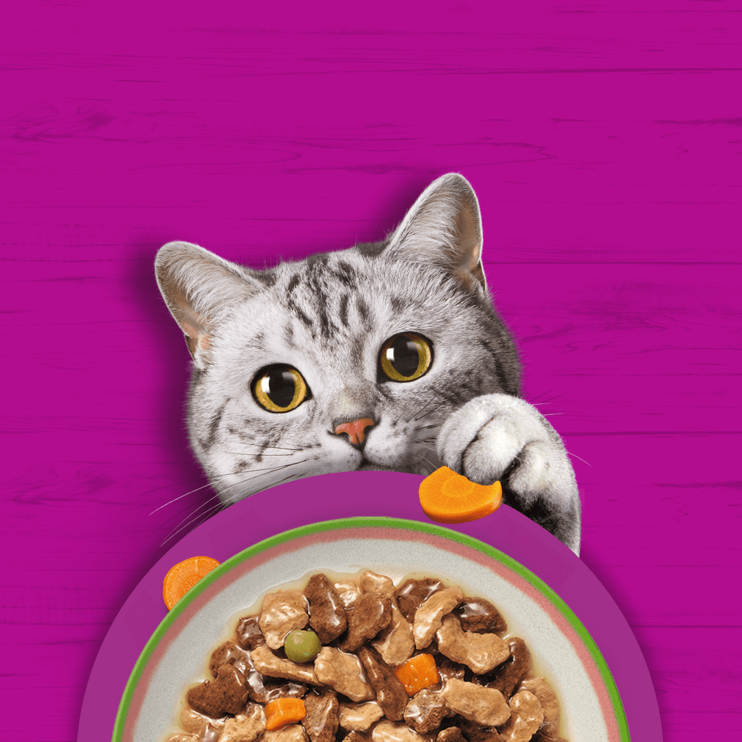 Whiskas Adult Tasty Mix Wybór Szefa Kuchni + Mix Smaków