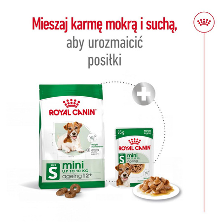 Royal Canin SHN Mini Adult 12+ 800g Karma Sucha Dla Psów Dojrzałych Po 12 Roku Życia Ras Małych