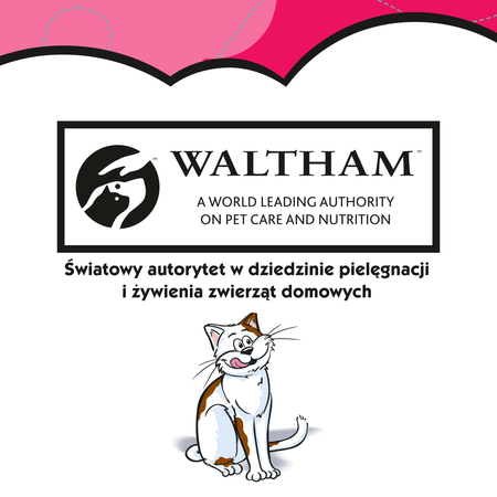 Dreamies z Wyśmienitą Wołowiną 60g Przysmaki dla kota