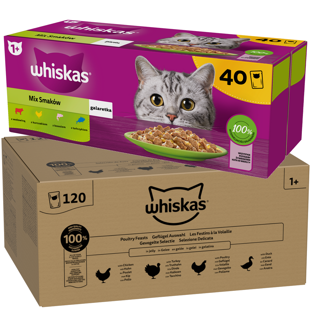 Whiskas Adult 160x85g Mokra Karma Dla Dorosłego Kota Drobiowa Uczta Rybne Przysmaki w Galaretce
