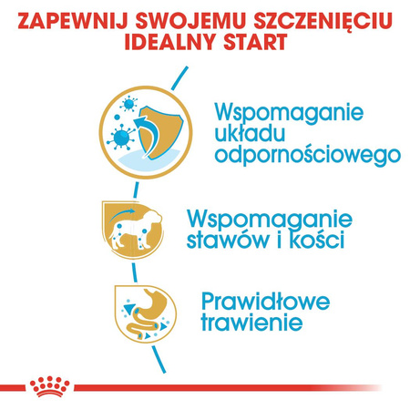 Royal Canin BHN Dachshund Puppy 1,5kg Karma Sucha Dla Szczeniąt Do 10 Miesiąca Rasy Jamnik