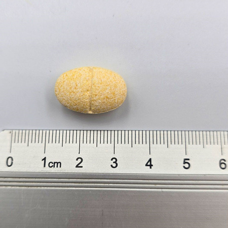 Game Dog Cardio Protect 60 Kapsułek Suplement Dla Psa Profilaktyka Zdrowia Serca