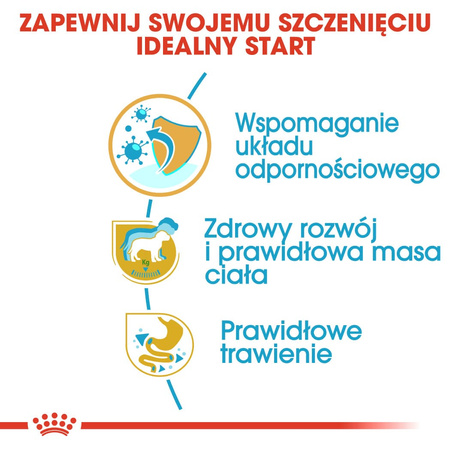 Royal Canin BHN Labrador Retriever Puppy 3kg Karma Sucha Dla Szczeniąt Do 15 Miesiąca Rasy Labrador Retriever