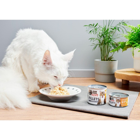 John Dog for Cats Mokra Karma Dla Dorosłych Kotów Kurczak Z Krewetkami 70g