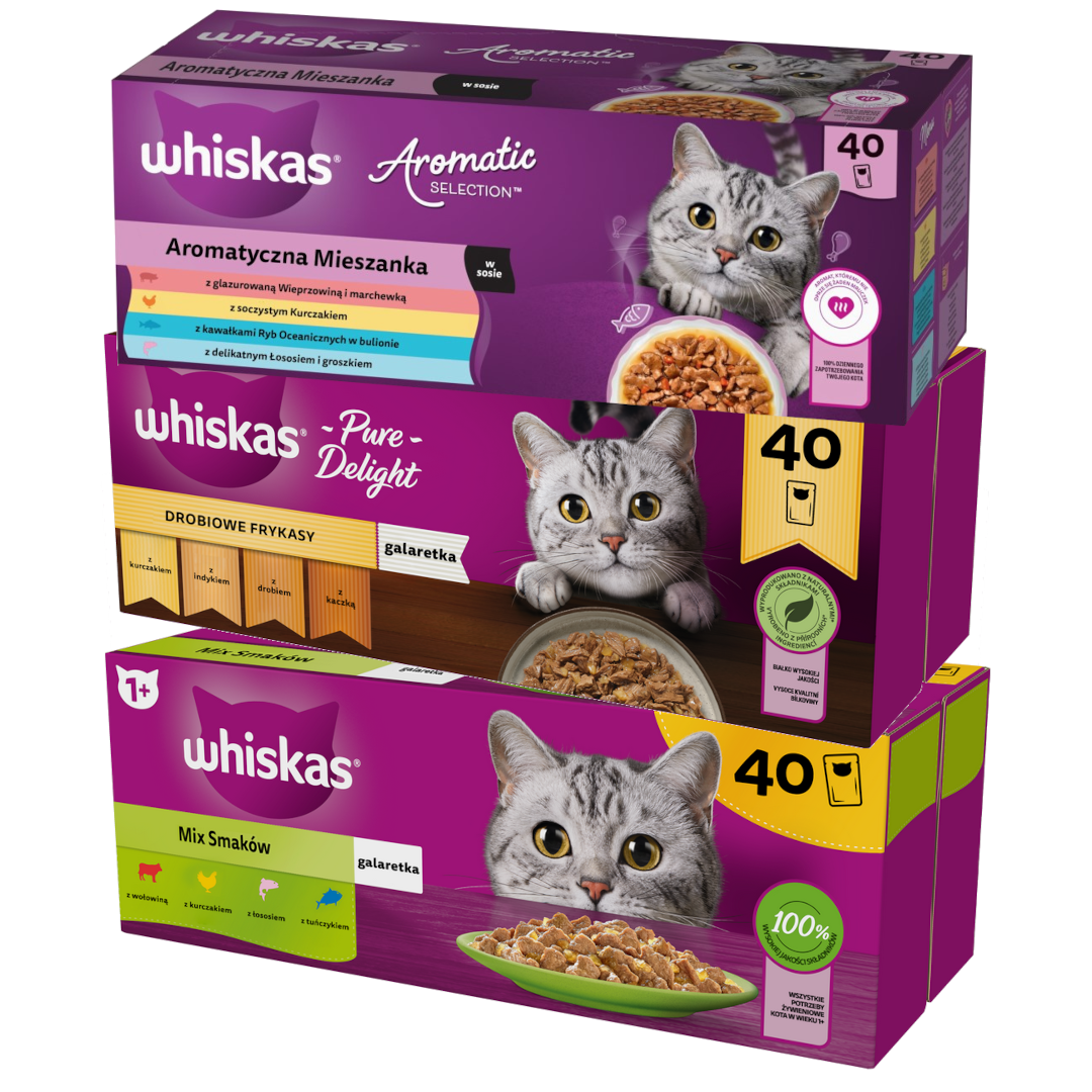 Whiskas Adult 120x85g Mokra Karma Dla Kota Mix Smaków
