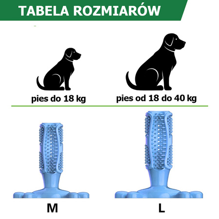 Gryzak, zabawka dentystyczna dla psa, rozmiar M, kolor Niebieski, szczoteczka do zębów